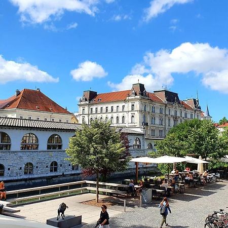 Petkovsek Rooms And Apartments Любляна Экстерьер фото