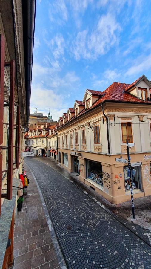 Petkovsek Rooms And Apartments Любляна Экстерьер фото